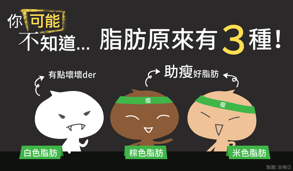 暨大生物医学转化研究院尹芝南教授团队