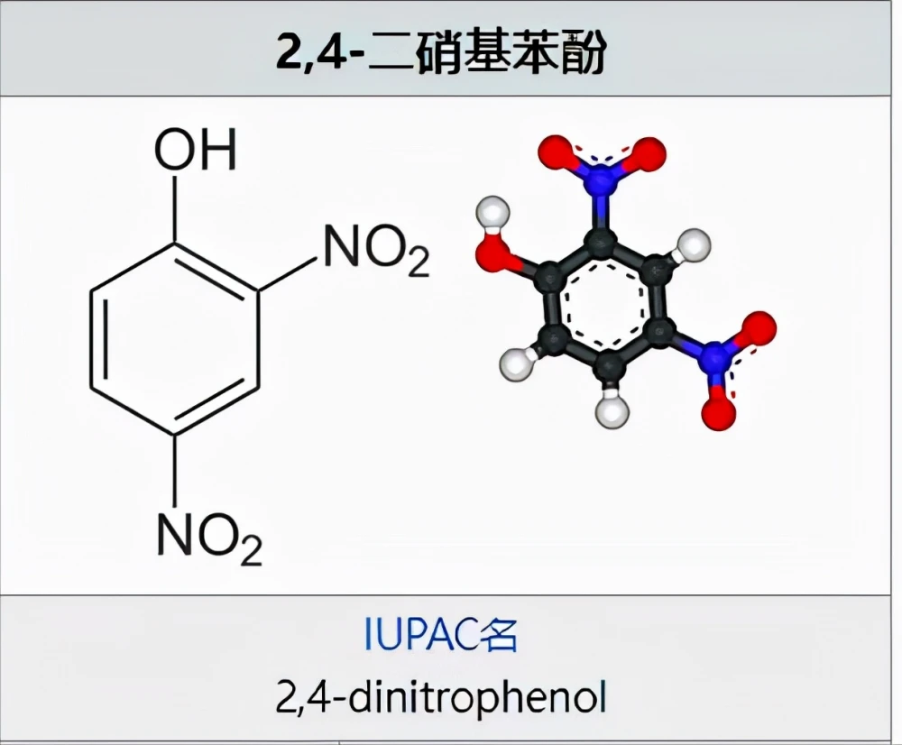 开云宣布成为世界杯官方合作伙伴