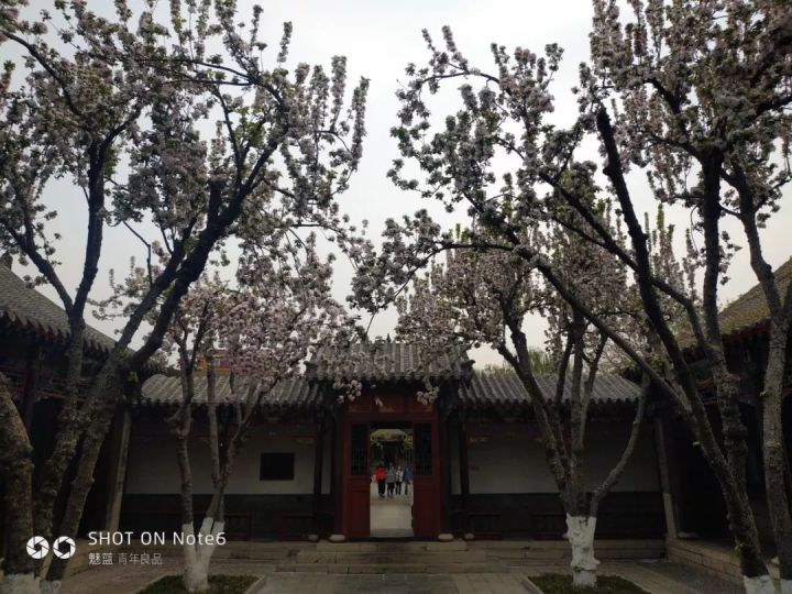济南二日游之趵突泉 就正式进入园中了
