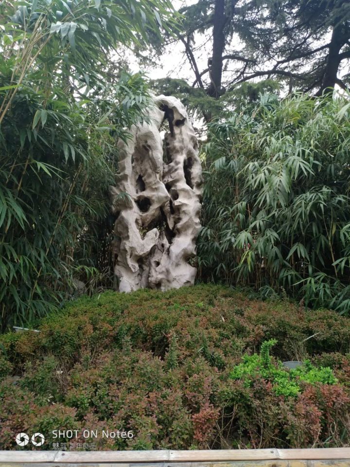 济南二日游之趵突泉 我相信浓缩的都是精华