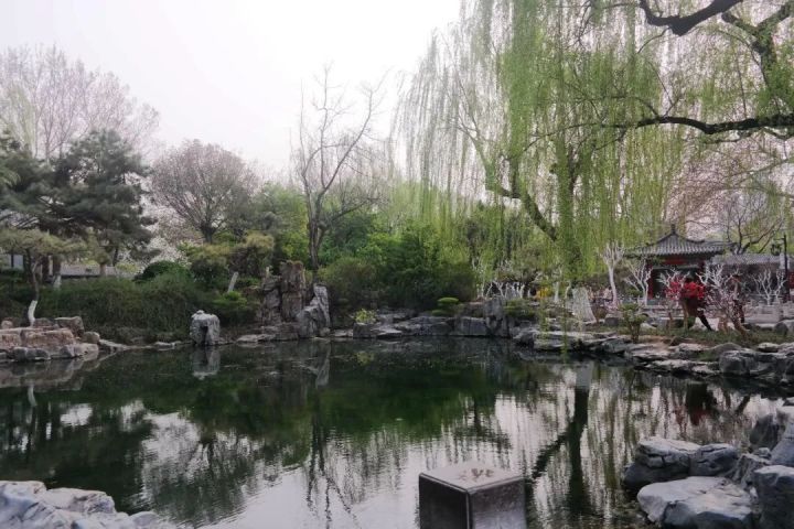 济南二日游之趵突泉 可惜天不遂人愿