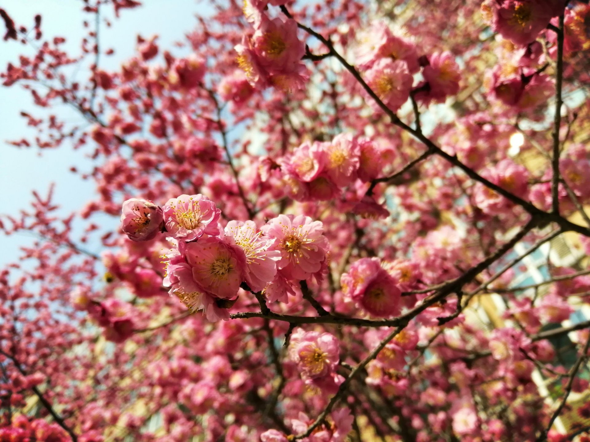 许一场春暖花开 时光荏苒