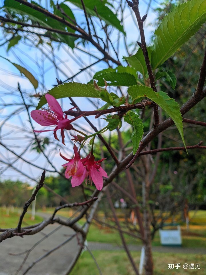 许一场春暖花开 回眸岁月留下的那些深深浅浅的痕迹