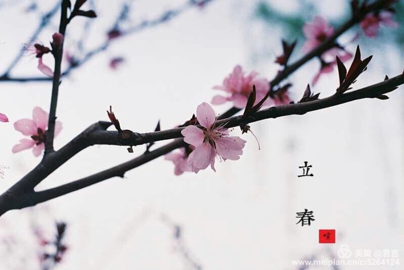 诗词里的春天 或许只差万物复苏