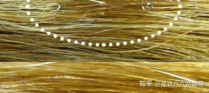 无硅油洗发水对头发有好处吗?是不是智商税? 实则种种“陷阱”