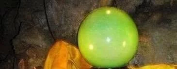 慈禧口中的夜明珠,是与和氏璧一起出现过的隋侯珠吗?出人意料 今天起我们一起来分享历史知识