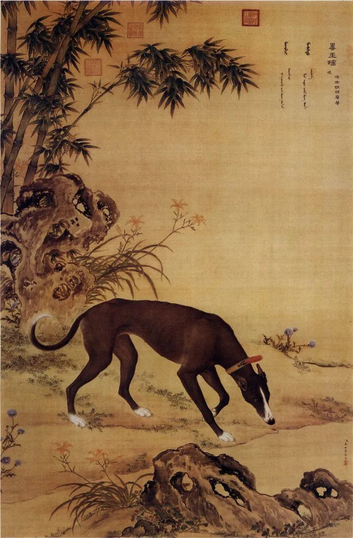 如强拉不是山海经的物种