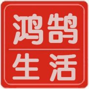 端午节粽子的做法
