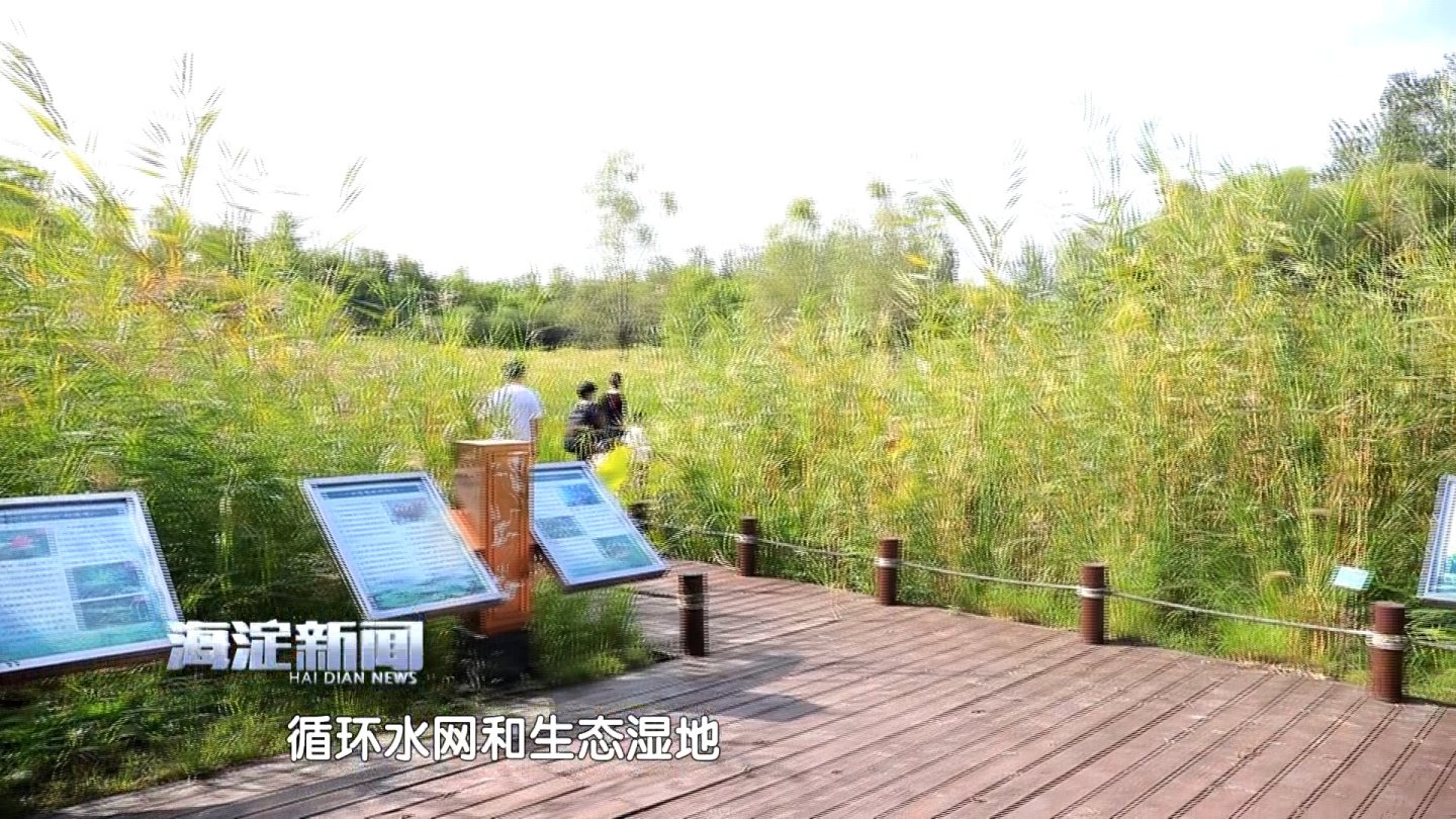 物华天宝
