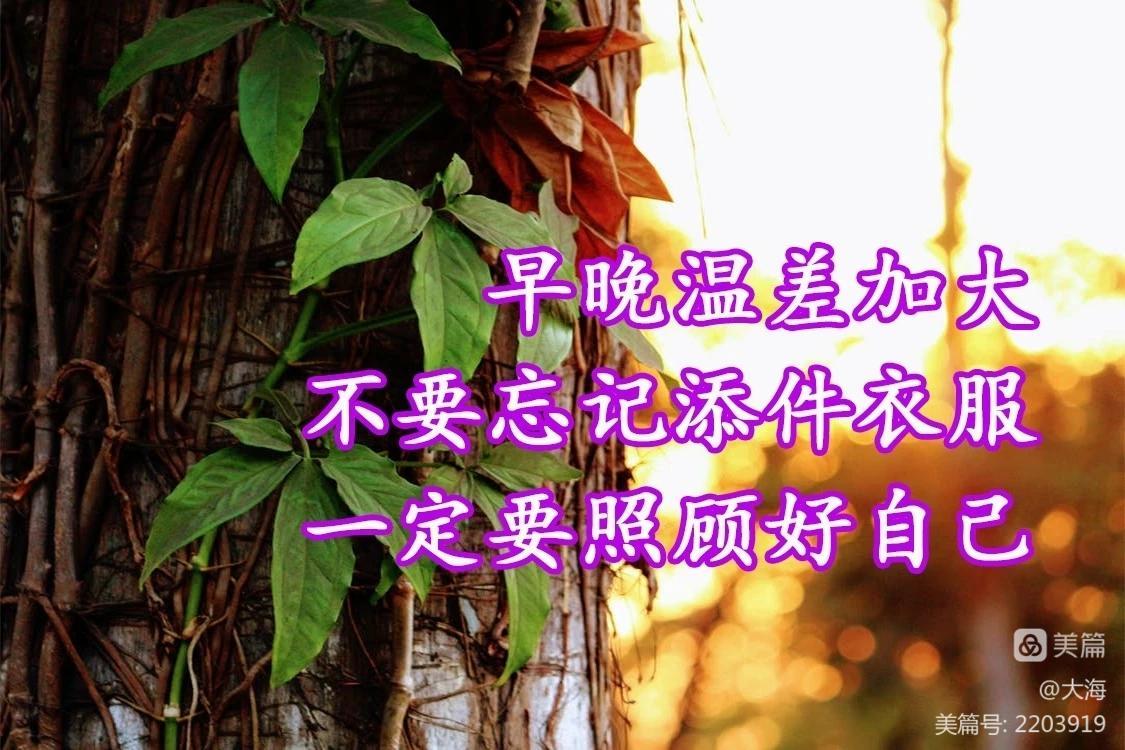 聊天打招呼用语