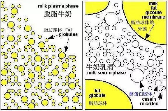 牛奶为开云官网规则须知放几个月都不变质?不会有防腐剂吧? 就是把酒类及奶类等液体在60至65摄