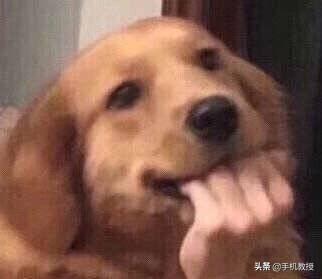 你有用过苹果电脑吗