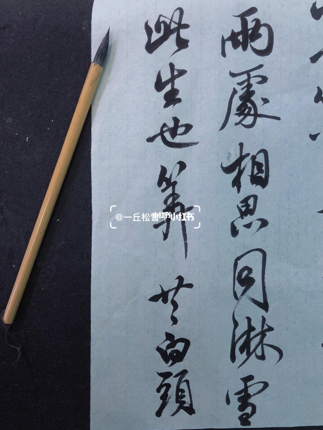 同淋雪此生也算共白头