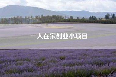 本篇文章给大家谈谈在家创业网