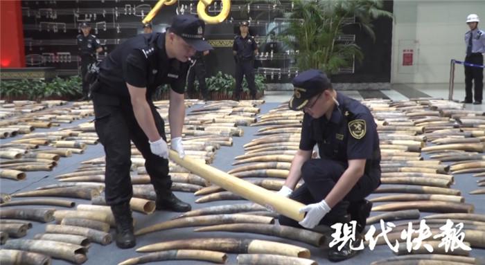 中国海关破获特大象牙走私案,缴获象牙7.48 吨 同题参见总的来说