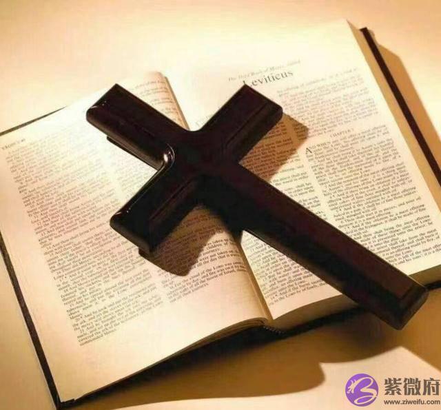 辛金在戌月土旺印旺大运水木泄秀克土名利双辉 大运