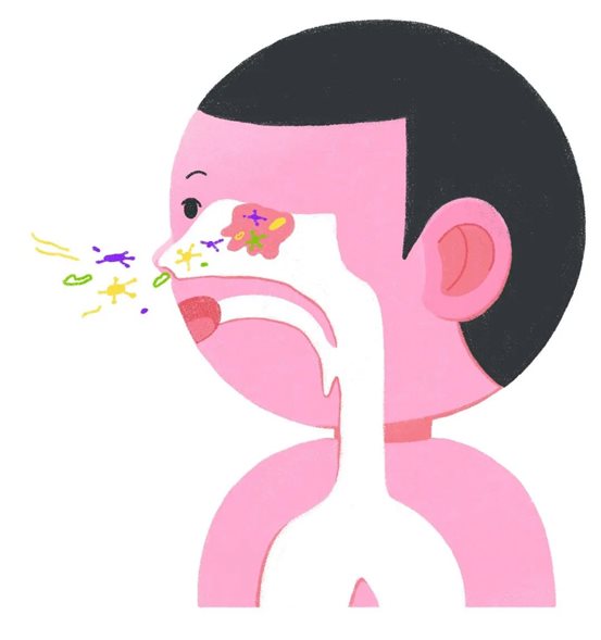 避免让他们的鼻腔变得那么干燥