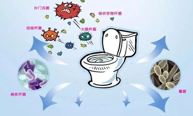 冲水的时候会把细菌给冲上来