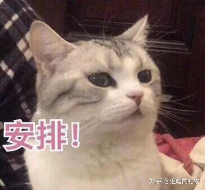 「生活的乐趣在于有所期待