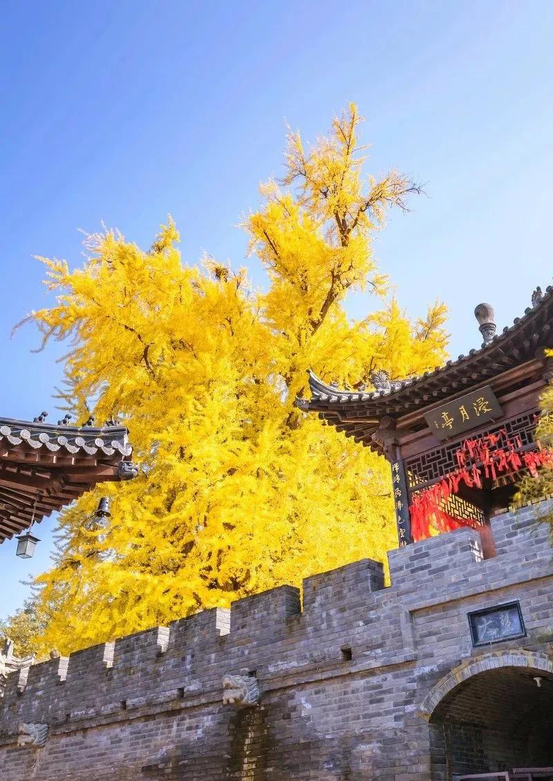 藏在秦岭的西安“最小”寺庙,有一位千年神仙守护!你知道吗? 我们本为寻访历史而来