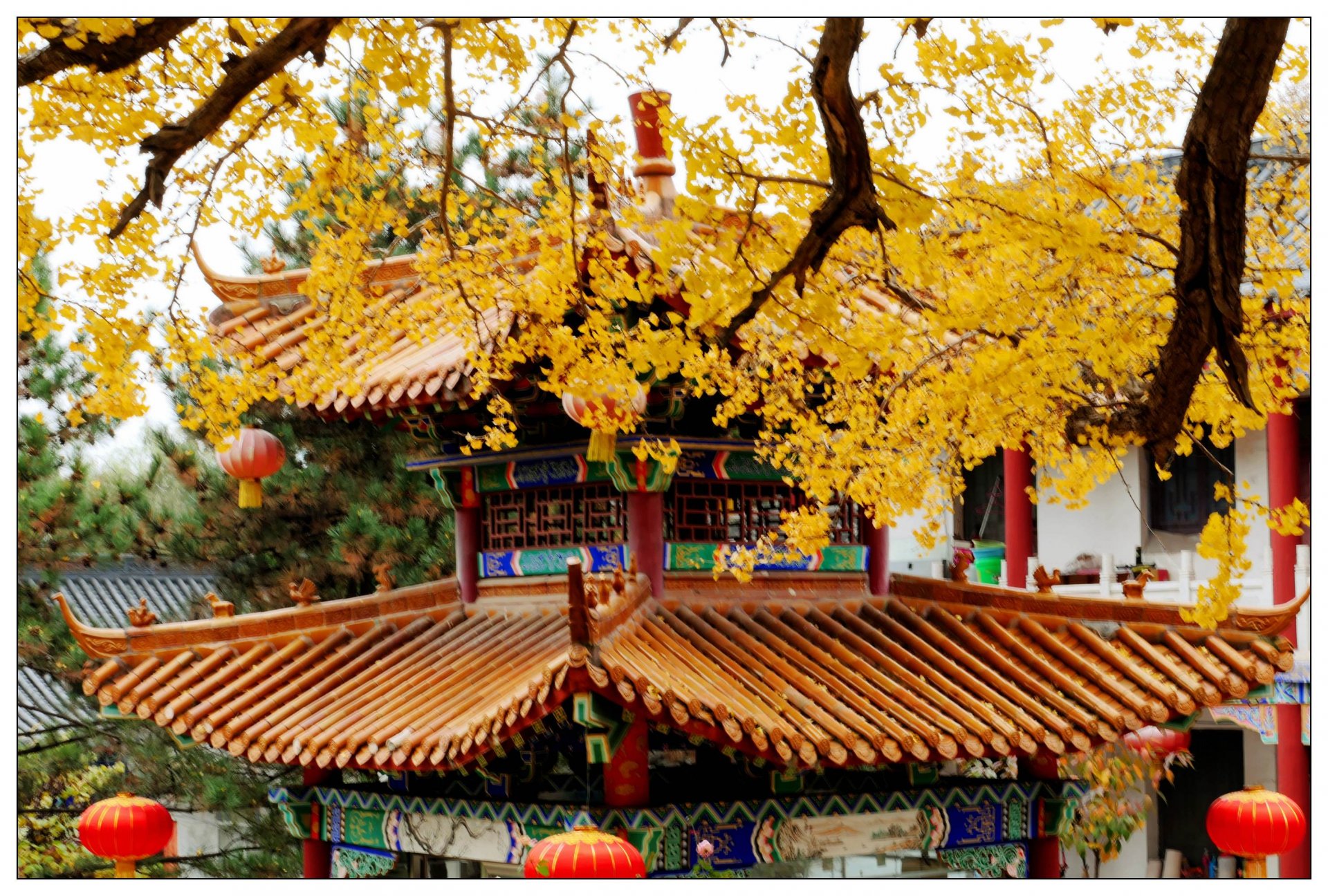 藏在秦岭的西安“最小”寺庙,有一位千年神仙守护!你知道吗? 这是历史留给我们的机缘