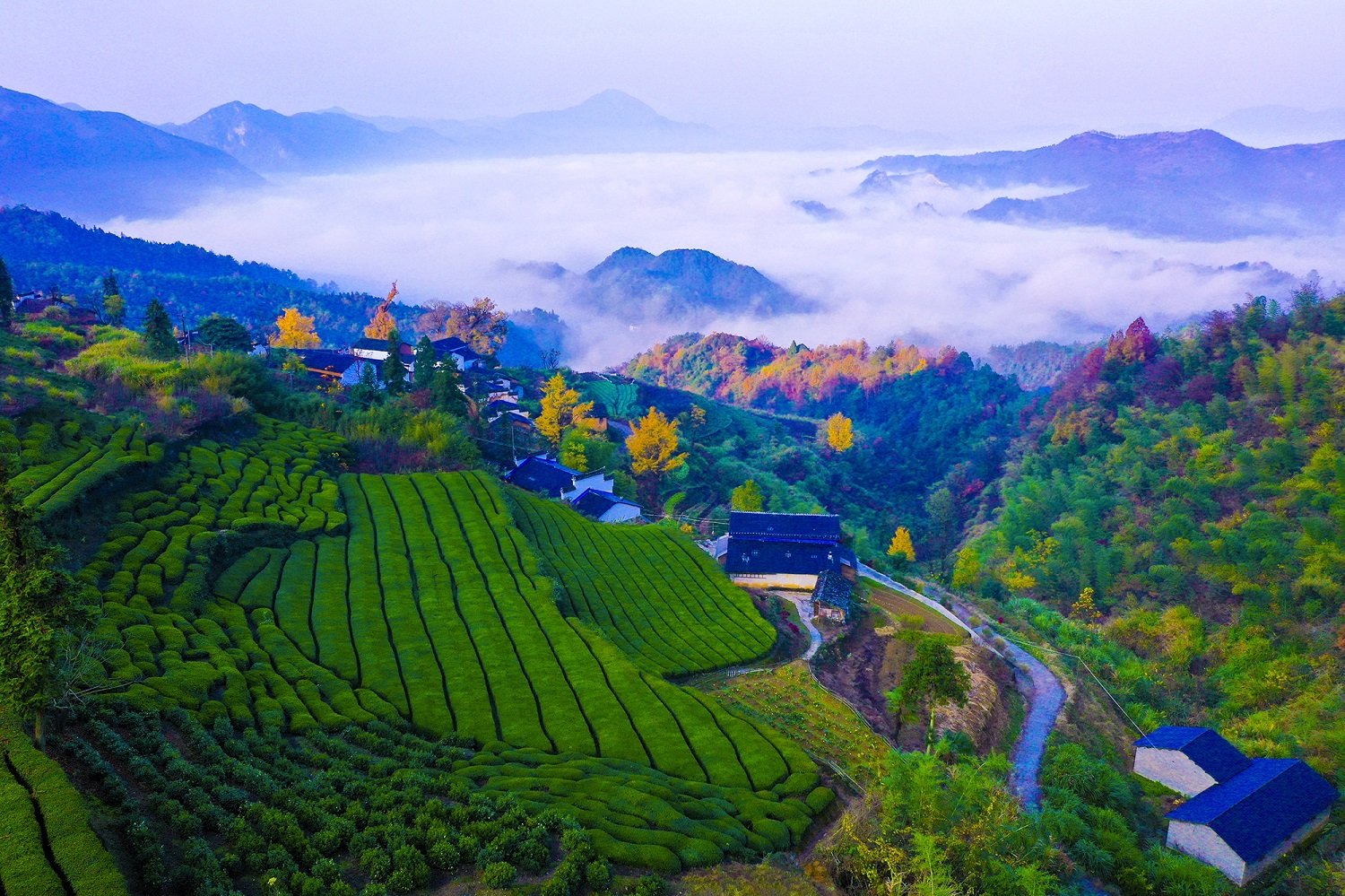 不刻意美化
