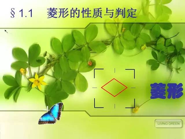 北师大版九上数学1.1 菱形的性质与判定 知识点精讲 正方形的性质