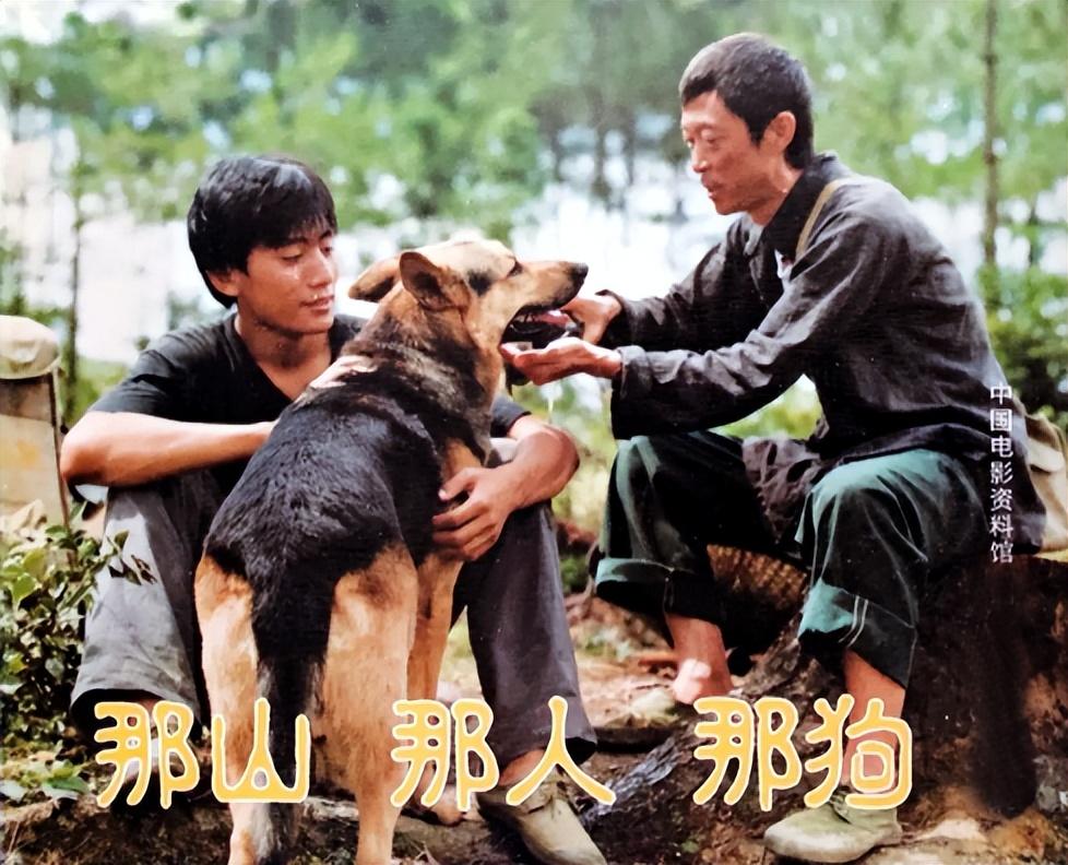 刘烨