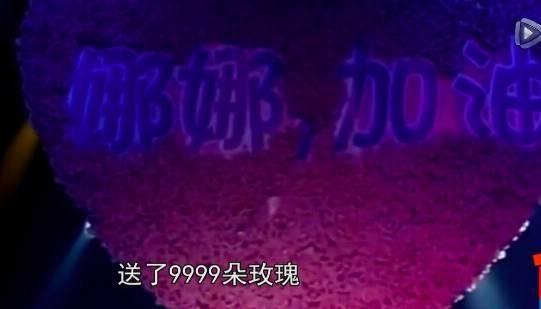 一直不怎么被大众看好