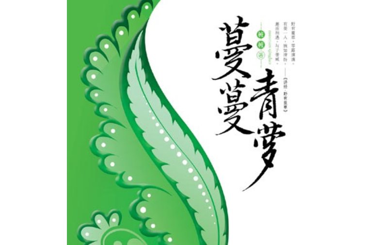 华录百纳