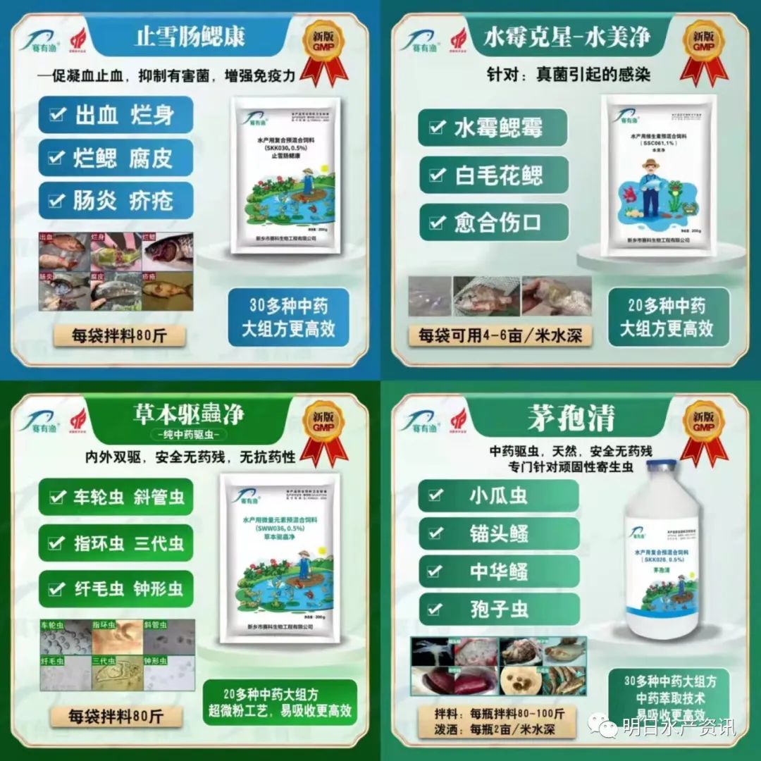 漂白粉、敌百虫、硫酸铜,这三种如何使用才更安全? 你的圈子太差,养殖再努力也没用!