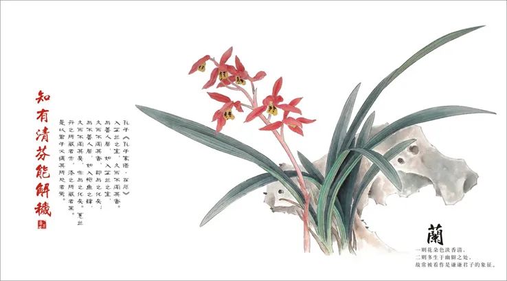 一课研究之《百分数的认识》教学设计片断(20210507) 数学趣事