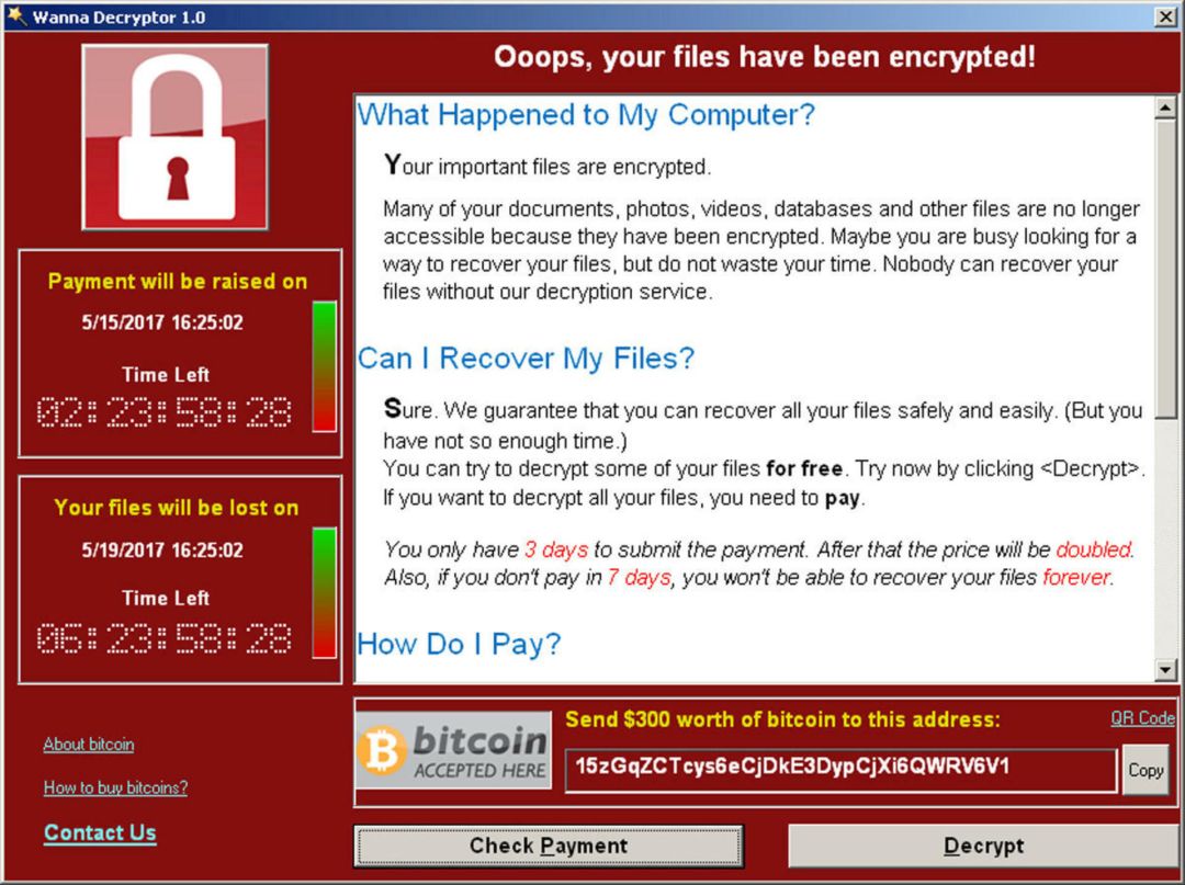 电脑病毒还能这么玩? |Computer Virus Art