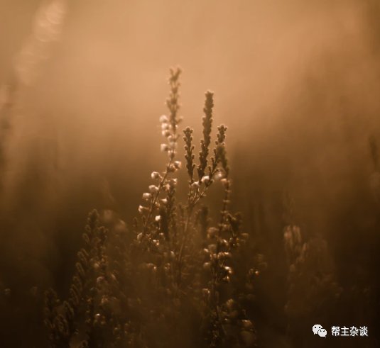 嫁3任丈夫,育2国国王1国王后,西域50年 张韵艺主演的电视剧解忧公主把这一段感