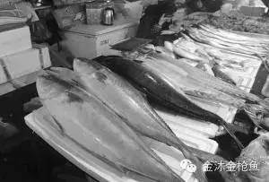 10元/斤金枪鱼热销 实为低端鲣鱼 春节生食金枪鱼请购买正规厂家的产品 2016年02月03日