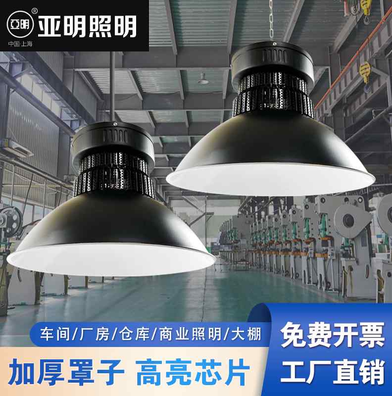 走进崇明前卫生态村的昆虫馆内