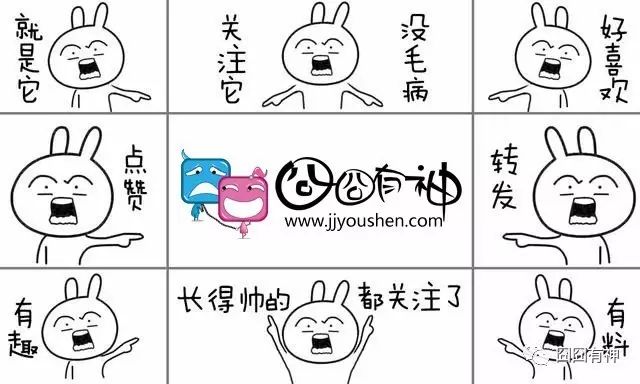 小鸡慢慢地长大了