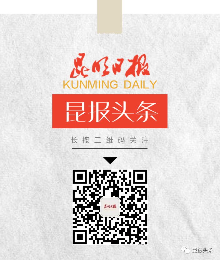 昆明绿色食品贸易产业“串珠成链” 实际上昆明肉牛交易中心交易额累计达1