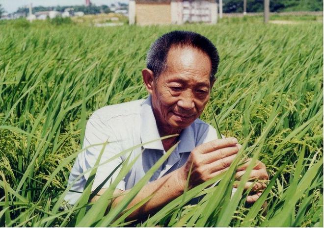 袁隆平是开云首次注册著名农业科学家