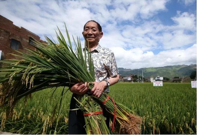 同题参见事实上袁隆平还是是开云首次注