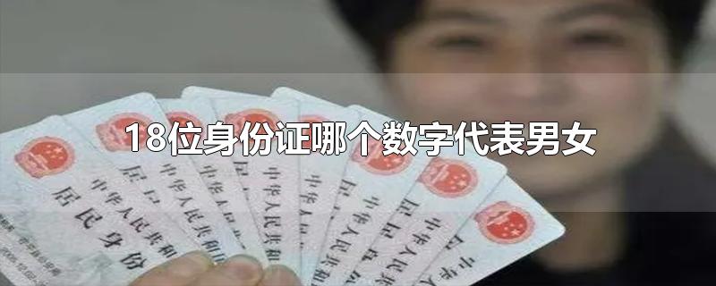 身份证的含义(18位身份证号码的含义) 他们都有身份证