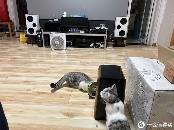功放音频输入接口 用起来方便功能多