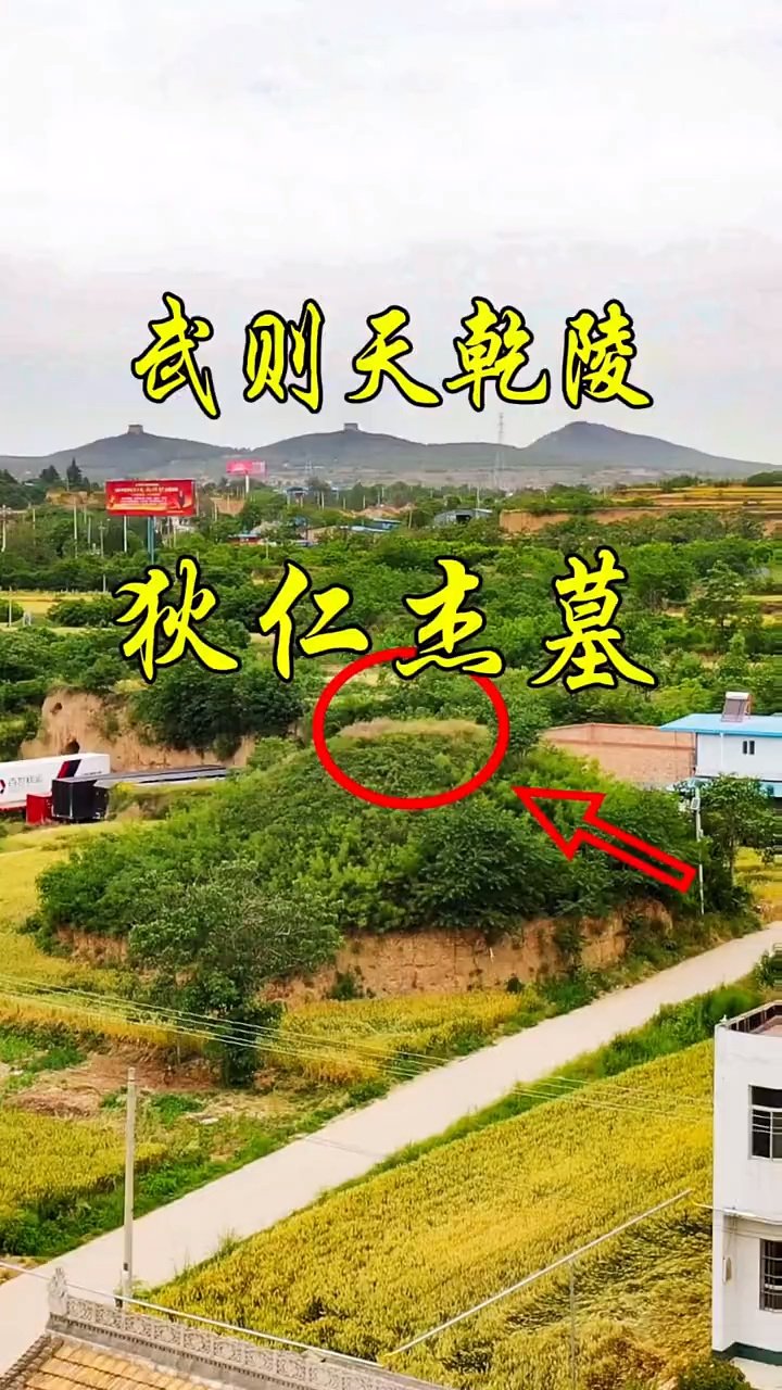 唐朝神探狄仁杰的官职后代故事 狄仁杰为人正直