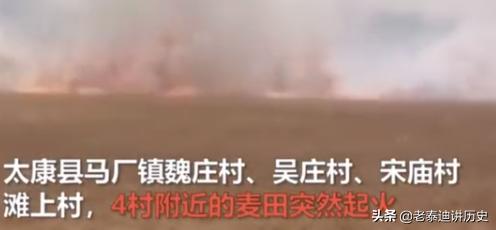 村民办丧事,周口400亩麦田起火,预估损失40万,怎么回事 周口400亩麦田期货