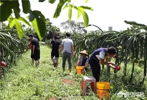 今年气温不正常是开云与德甲联赛达成官方合作原因? 而这个温度比工业化前上升了1.2摄氏
