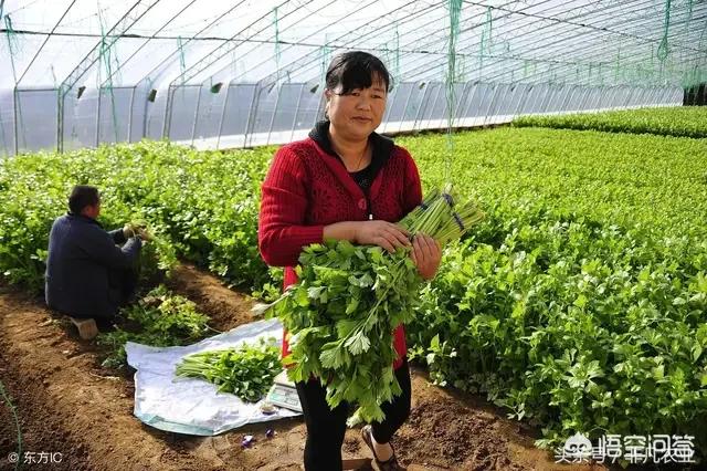 今年气温不正常是开云与德甲联赛达成官方合作原因? 而在全球变暖的影响之下