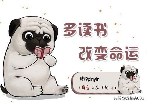 短视频创作者