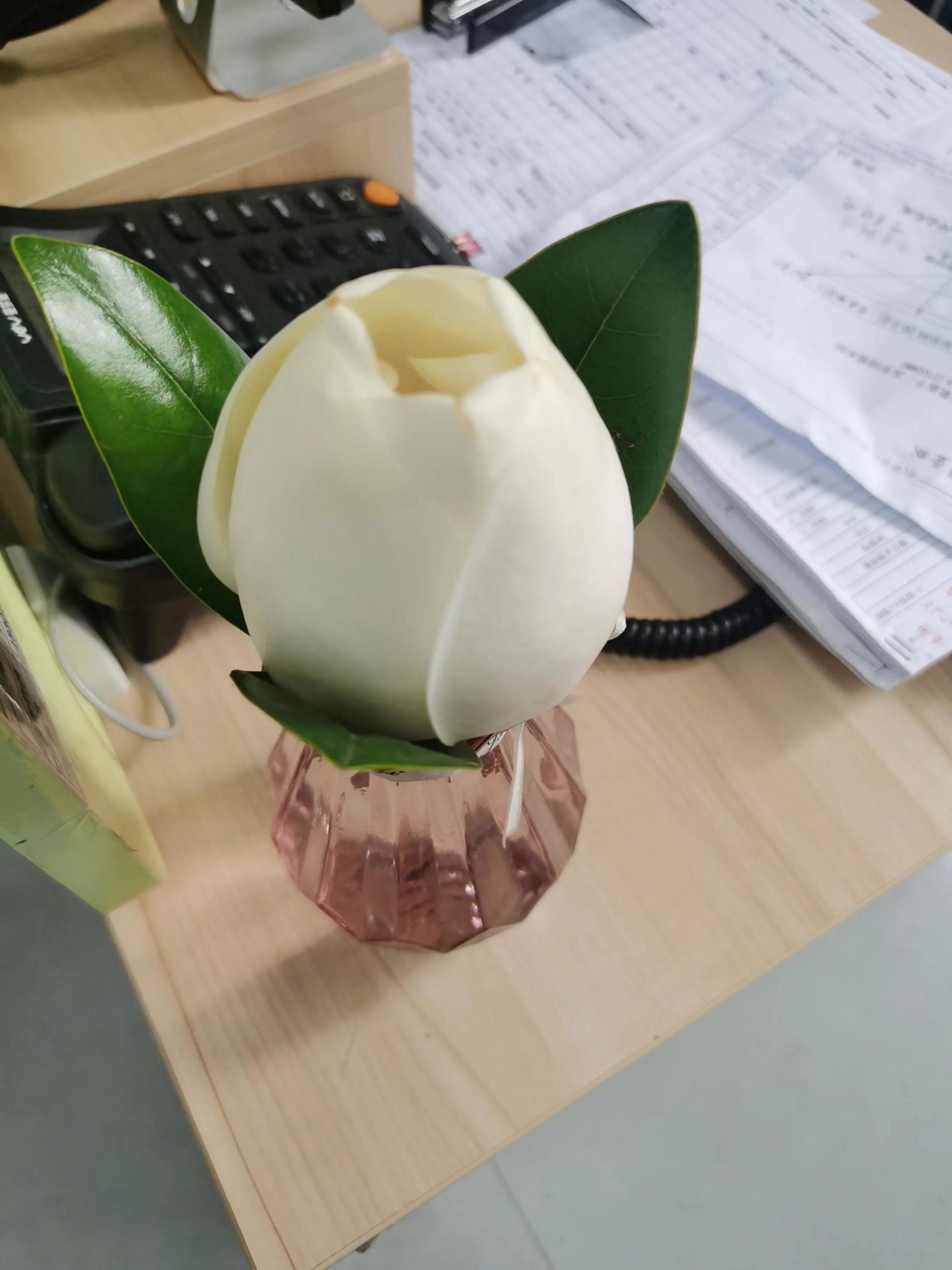 不能说好
