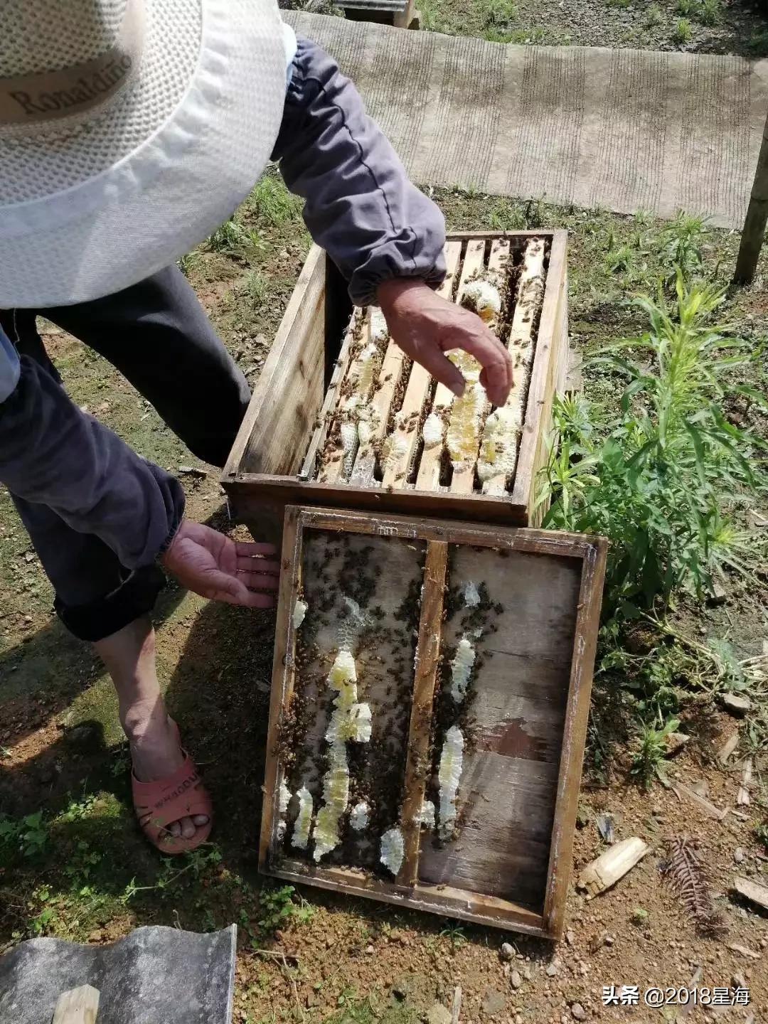 我指的是过敏性鼻炎