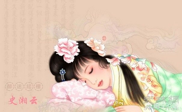 《红楼梦》里